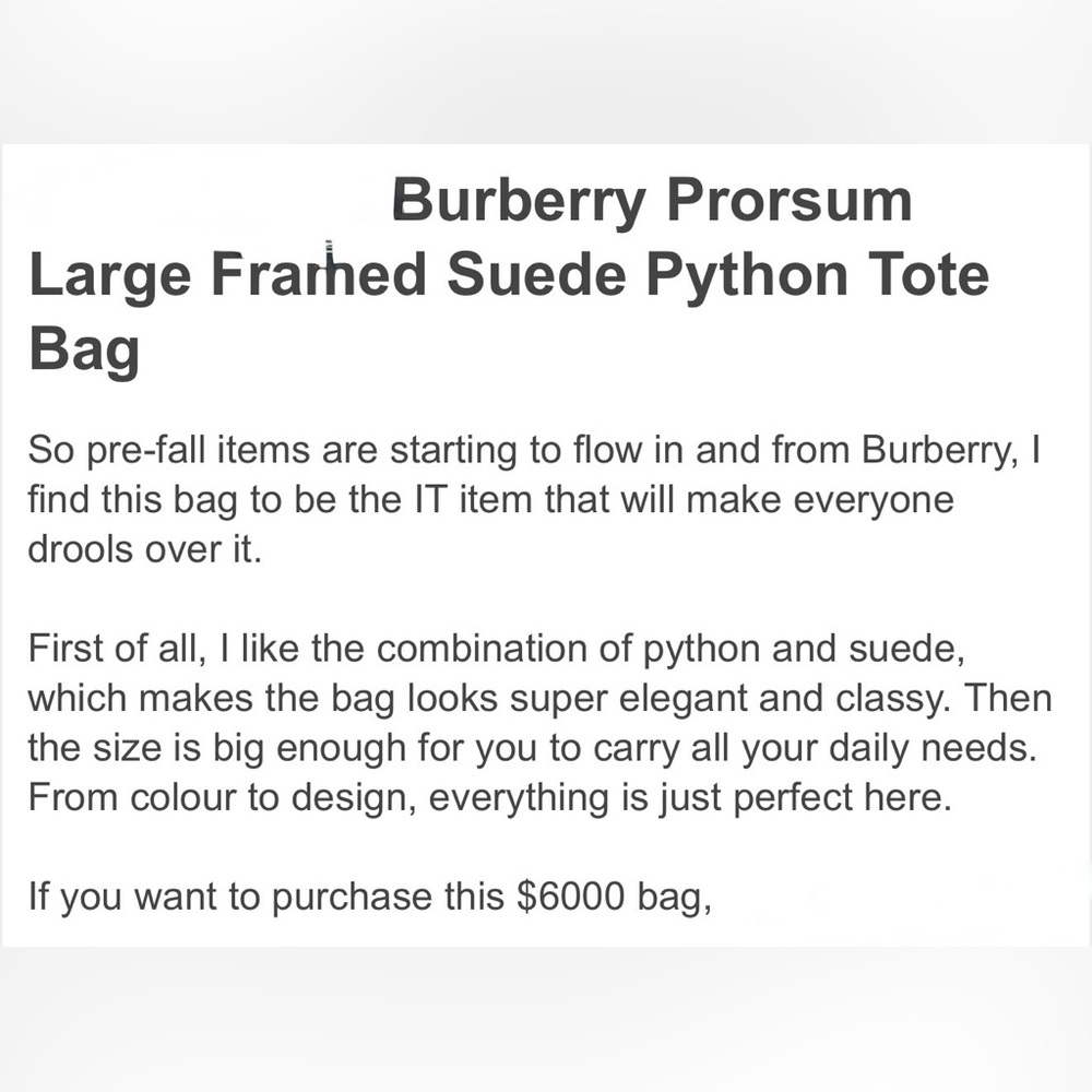 The Burberry Python Pattern Crossbody - Picture 9 of 9